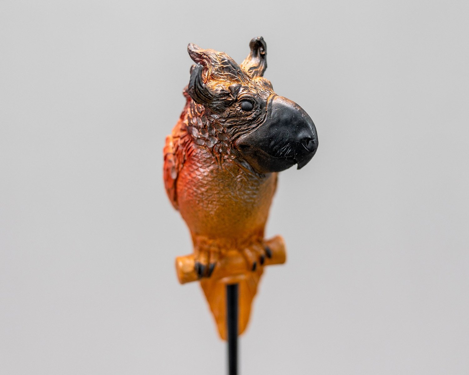 Horned Parrot I, sculpture by Charlie McGrady, view 3