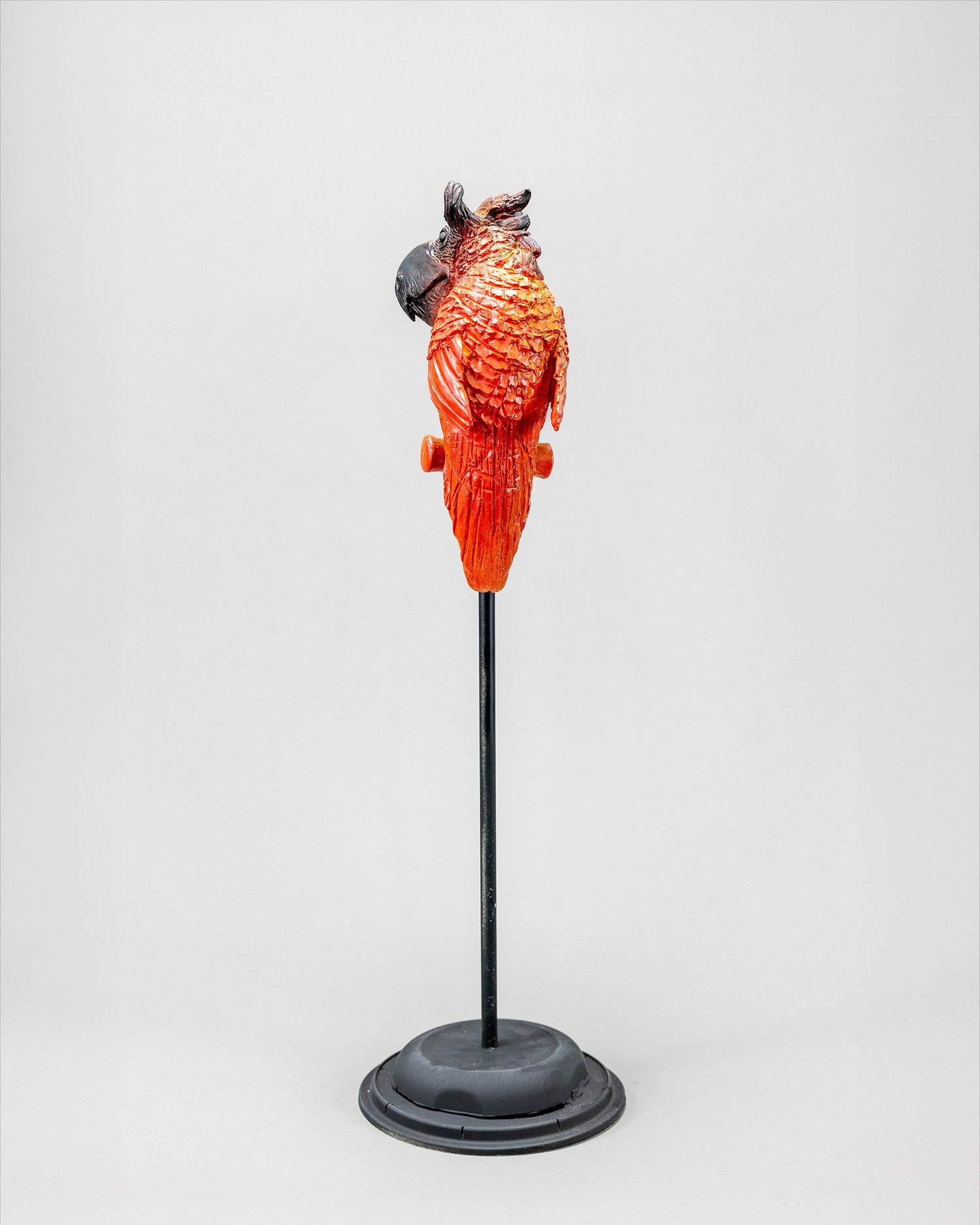 Horned Parrot I, sculpture by Charlie McGrady, view 4