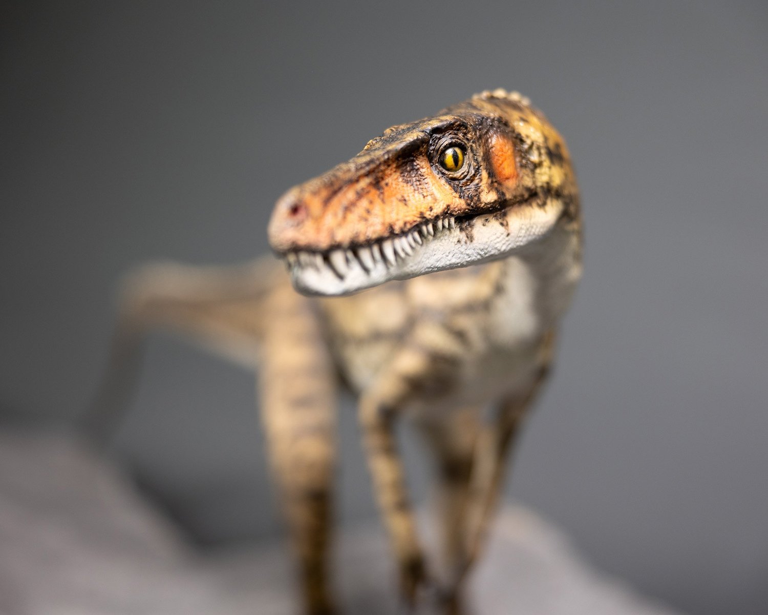 Lewisuchus, sculpture by Charlie McGrady