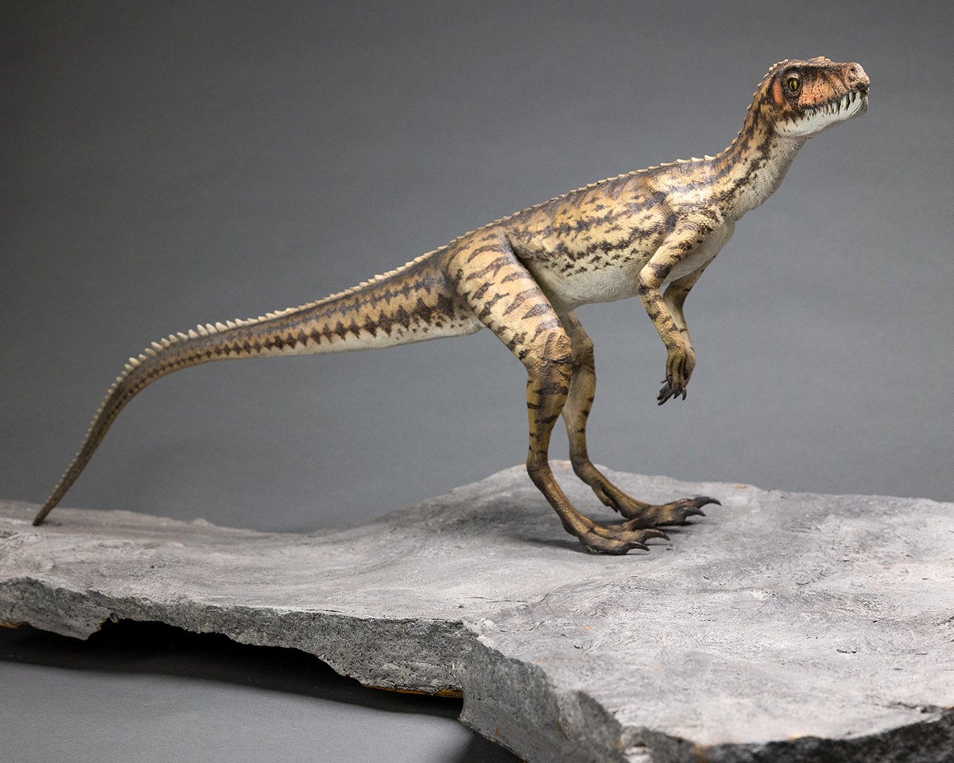 Lewisuchus, sculpture by Charlie McGrady, view 4