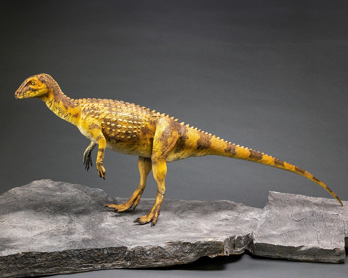 Scutellosaurus, sculpture by Charlie McGrady, view 2