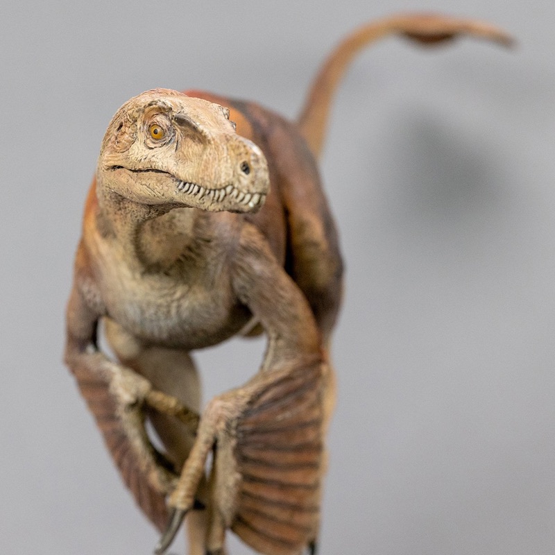 Velociraptor, sculpture by Charlie McGrady