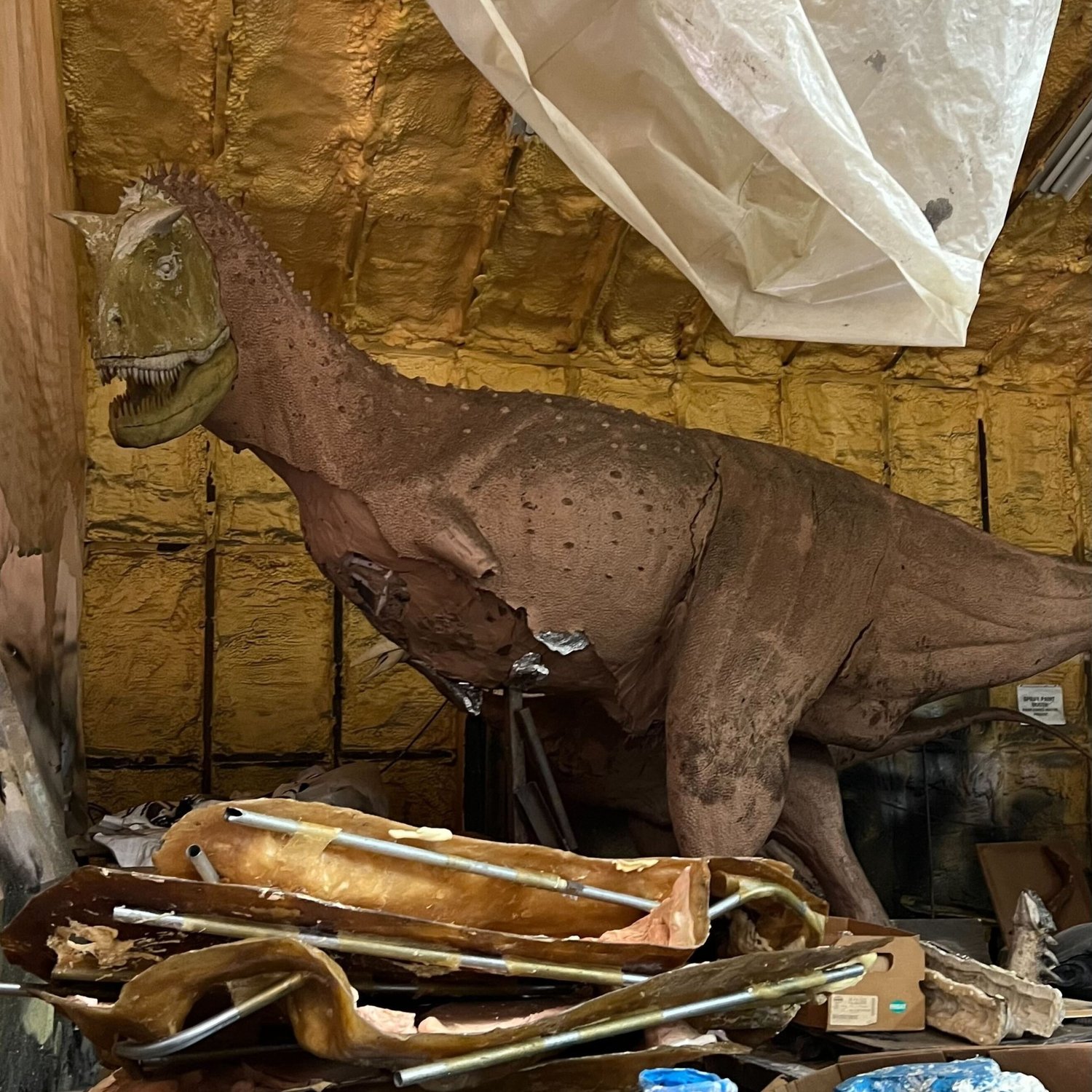 Carnotaurus (Full-Scale), sculpture by Charlie McGrady
