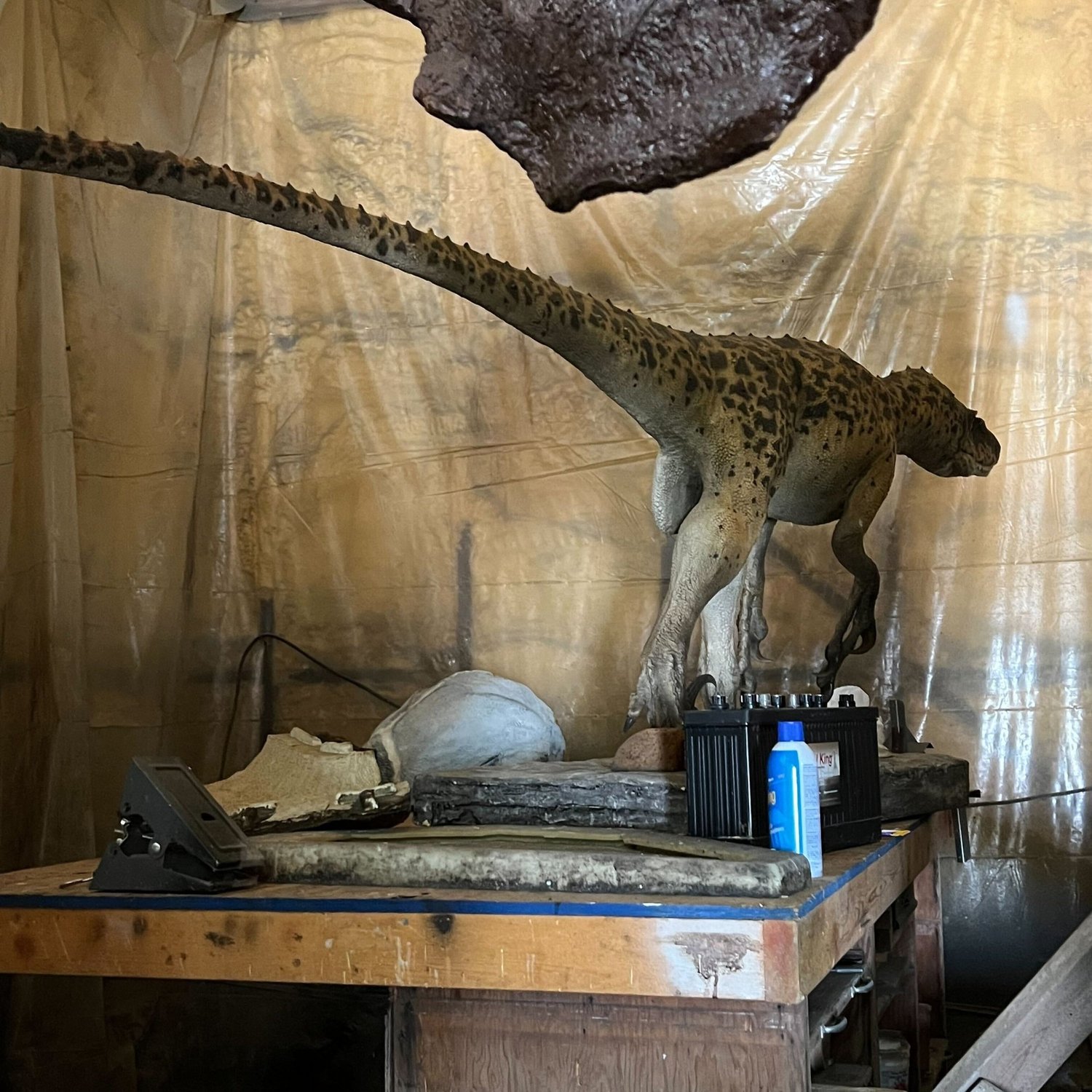 Velociraptor (Full-Scale), sculpture by Charlie McGrady